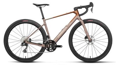 Orbea TERRA M20iTEAM M Nickel (Matt) - Metallic Cinamon (Matt) Produktbild 1