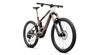 Orbea WILD TR M10 S Desert Rose (Matt) - Burning Ashes C. View (Gloss) Produktbild 1