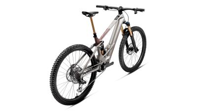 Orbea WILD TR M10 S Desert Rose (Matt) - Burning Ashes C. View (Gloss) Produktbild 2