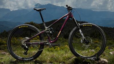 Trek Fuel EX 9 X0 AXS XL Lithium Grey / Trek Black Spla Produktbild 8