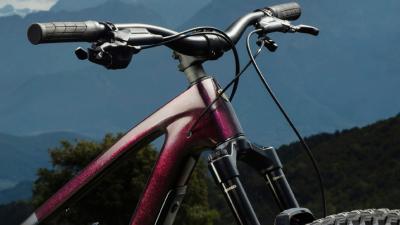 Trek Fuel EX 9.8 XT XXL Gloss Dark Carmine / Matte Trek Produktbild 6