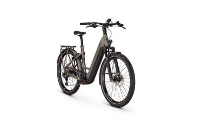 Kalkhoff ENDEAVOUR 7.B MOVE+ 53 27" 10 techgreen glossy Diamond Produktbild 9
