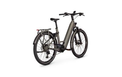 Kalkhoff ENDEAVOUR 7.B MOVE+ 53 27" 10 techgreen glossy Diamond Produktbild 5