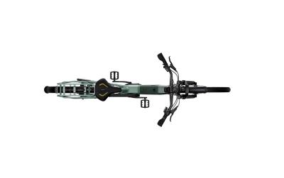 Kalkhoff IMAGE 5+ ADVANCE 53 29"  sagegreen matt Wave Produktbild 8
