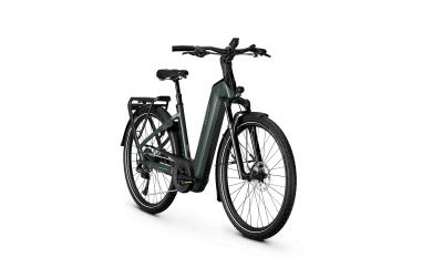 Kalkhoff ENDEAVOUR 5+ ADVANCE 43 29" 10 techgreen glossy Wave Produktbild 2