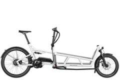 Kategorie E-Cargobikes