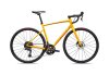 Specialized ALLEZ E5 44 CALSUN/ORGZST
