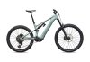 Specialized Levo 4 EVO Comp SATIN AGAVE GREY / DESERT METALLIC S3