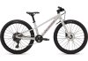 Specialized RIPROCK 24 INT 24 DLMMET/QTZMET