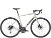 Trek Domane AL 2 44 Gloss Supernova