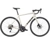 Trek Domane AL 5 61 Gloss Supernova