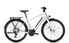 Kalkhoff ENDEAVOUR L EXCITE 55 29  12 nepalsilver glossy Diamond