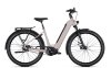 Kalkhoff IMAGE 3 EXCITE 48  5 sustainedgrey matt Wave
